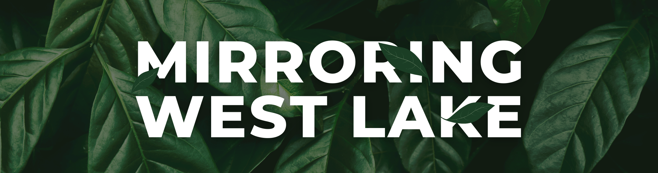 Screenshot of Mirror West Lake